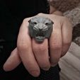 d2b5ca33bd970f64a6301fa75ae2eb22_preview_featured.jpg Anillo cabeza de Leon
