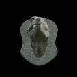 my_project-1-9.png t-rex head trophy on the wall / two faces / dinosaur