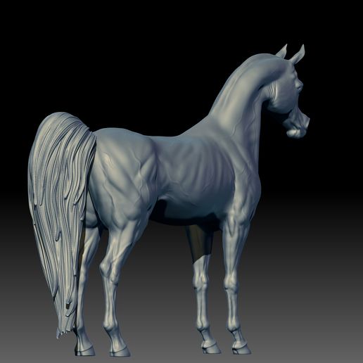 07.jpg Arabian Horse