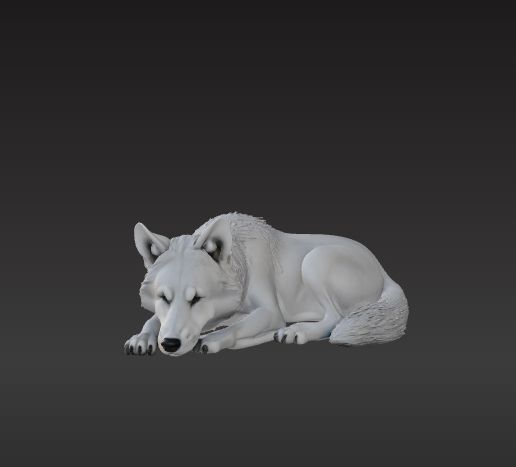 loupDormant.jpg 用于 D&D、龙与地下城的狼群