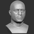 13.jpg Joe Rogan bust for 3D printing