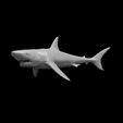 Reef_Shark.JPG Misc. Creatures for Tabletop Gaming Collection