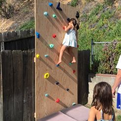 6320d6abf603ec09cfd41f925026fd08_display_large.JPG Kid Rock Wall Holds