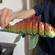 Артикулирующая рыбка кои - рыбка кои непоседа, гибкая печать на месте (без опор)