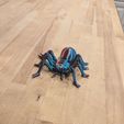 Articulated Spider 3D Print Model