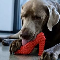 Captura_1.jpg STL file Dog Slipper Chewable Toy Dog Slipper /Dog Slipper Chewable Toy・3D printer design to download