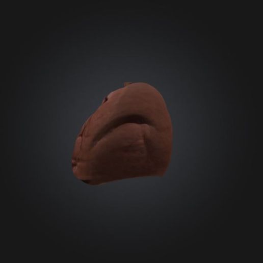 Lung-3.jpg Lung | Stl,Obj,Glb,Fbx