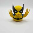 4b6dd905-7859-454c-8870-edcf3889497a.jpg Wolverine Duck