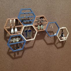 EarringHolder.Mounted.jpg Free STL file Earring Modular Rack・3D printable model to download