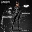 SGProyect04.jpg Catwoman (Selina Kyle) from The Dark Knight Rises Movie