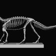 5.jpg BABY MUSSAURUS FOR 1:1 SCALE PART 2 OF 3