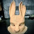 236614992_10226632576899679_4825090982856274663_n.jpg The Huntress Mask - Dead by Daylight - The Rabbit Mask 3D print model