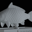 Carp-money-11.png fish sculpture of a carp with storage space for 3d printing