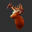6-ZBrush-Document.jpg Deer head-WALL MOUNTED