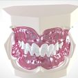17.jpg STL file Digital Full Dentures for Gluedin Teeth with Manual Reduction・3D printable design to download