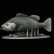 Peacock-Bass-statue-1-3-17.png FISH in motion Peacock bass (Cichla ocellaris) fish natural base detailed texture for 3d printing