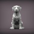 puppy-rhodesian-ridgeback-sitting3.jpg Puppy rhodesian ridgeback sitting 3D print model