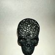 IMG20201203222841.jpg Voronoi Skull 3D print model