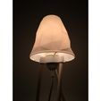 9b8675e504fc4373872c04845ee238e7_preview_featured.JPG Dowel Lamp with low poly shade!