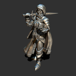 11.png Warrior knight fighter paladin male.