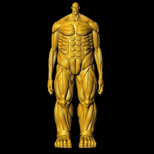 🫵 colossal titan・ STL File for 3D printing・Cults