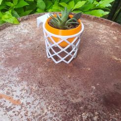 370471356_1350459525678645_8189086026384596461_n.jpg Free STL file Basketball pot・3D printing template to download