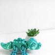 WhatsApp-Image-2023-10-31-at-8.29.53-AM-2.jpeg Little Flexi Crocodile