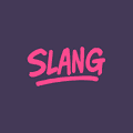 Slang3D