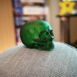 IMG_20190916_213639_738.jpg STL file Small Skull - top portion・3D printable design to download