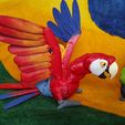 IMG_20230911_151544793.jpg Scarlet Macaw Articulated Figure