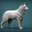 Husky5.jpg Husky 3D printed model