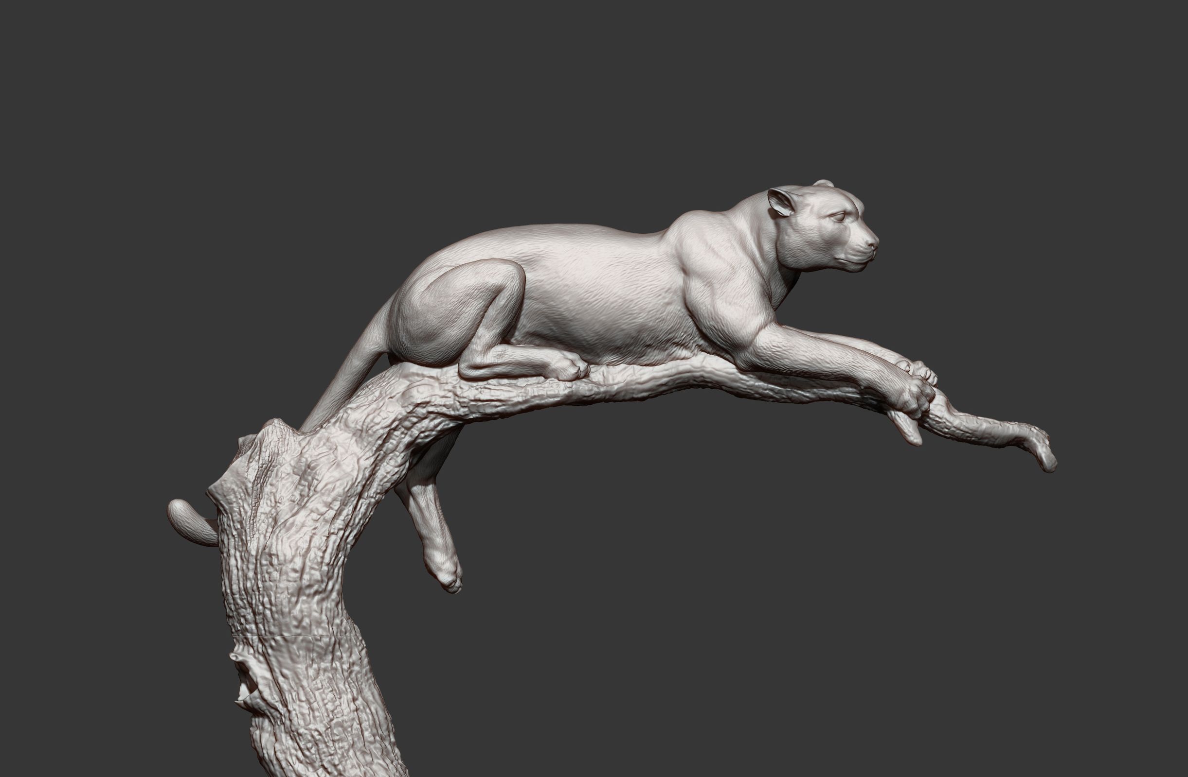 cheetah7.jpg Archivo 3D modelo de impresión 3D de un guepardo・Modelo de impresión 3D para descargar, akuzmenko