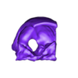 skull segment.stl Archivo STL El modelo de la columna cervical C1-C7 con una parte del cráneo・Modelo para descargar y imprimir en 3D