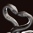 snakes-3.png Intertwined Snakes