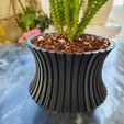 eee ae Sener Oohalng Mini Plant Flower Pots