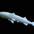 Barracuda-base-37.png fish great barracuda / Sphyraena barracuda statue detailed texture for 3d printing