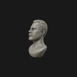 03.jpg Freddie Mercury 3D printable portrait