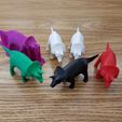 20191114_091018.jpg STL-Datei Triceratops Test Print kostenlos・3D-Druck-Modell zum herunterladen