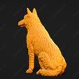 1619-Belgian_Shepherd_Dog_Laekenois_Pose_05.jpg Belgian Shepherd Dog Laekenois Dog 3D Print Model Pose 05