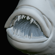Dentex-trophy-64.png fish Common dentex / dentex dentex trophy statue detailed texture for 3d printing