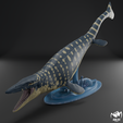 Mosasaurus-4.png Mosasaurus hoffmanni 3D print model