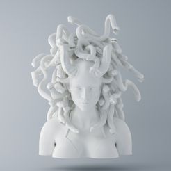 Medusa Head Preview 001.jpg Free 3D file Medusa Head・3D printing idea to download