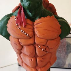 Buste TMNT (fan art)