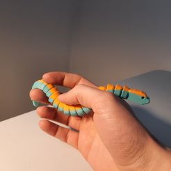 274744454_676827806798182_1824359488461761953_n.jpg Articulated snake easy and simple - No supports