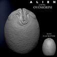 ALIEN-EGG-FLAT-BOTTOM.jpg ALIEN EGG OVOMORPH 1979 FLAT BOTTOM