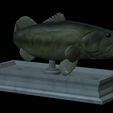 Bass-mouth-2-statue-4-6.png fish Largemouth Bass / Micropterus salmoides in motion open mouth statue detailed texture for 3d printing