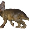 CHASMOSAURUS-1.jpg Chasmosaurus belli