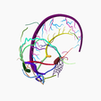 9.png DURAL VENOUS SINUS SEGMENTED MODEL