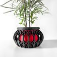 untitled-2913.jpg The Vyre Planter Pot & Orchid Pot Hybrid with Drainage Tray: Modern and Unique Home Decor for Plants and Succulents
