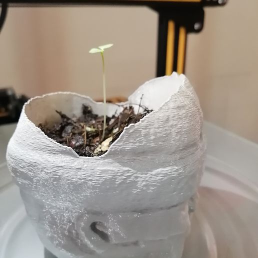 IMG_20200624_134339.jpg Jardinière Pot Olmec